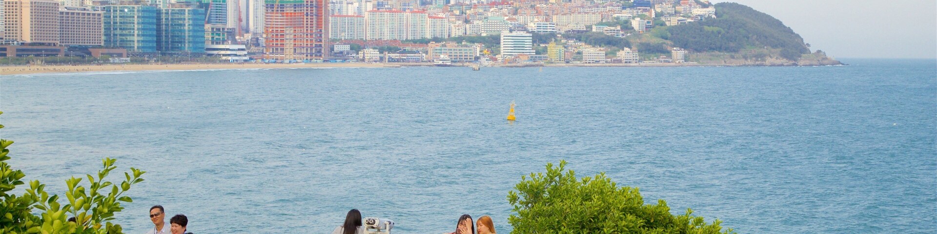 Parque Dongbaekseom mostrando vista, vista general a la costa y una ciudad