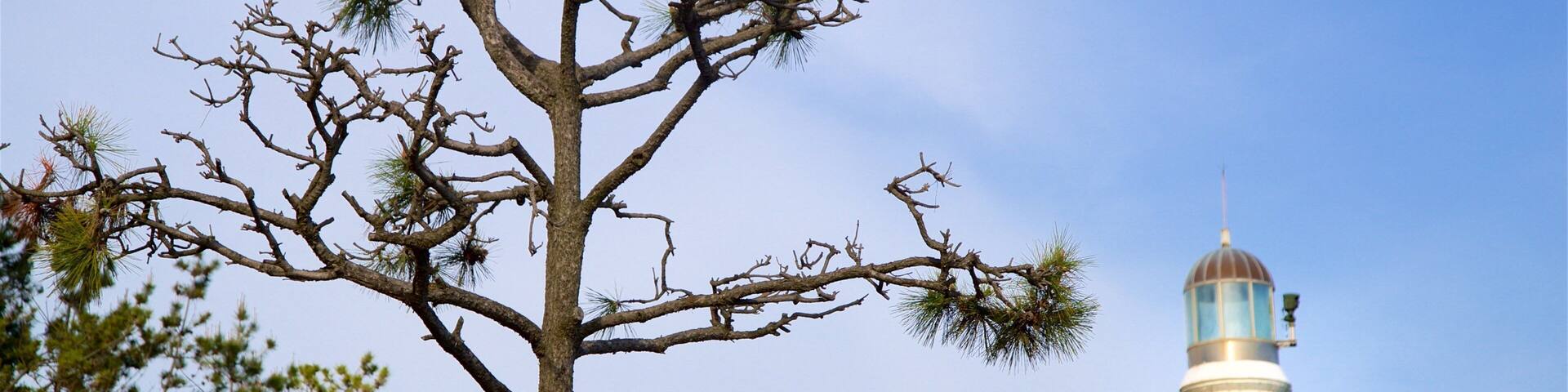 Dongbaekseom Park showing general coastal views, views and a lighthouse