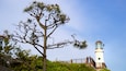 Dongbaekseom Park showing views, general coastal views and a lighthouse