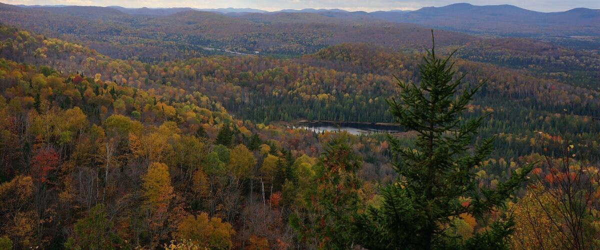 A forested valley with autumn foliage, a lake, and distant mountains under a cloudy sky.