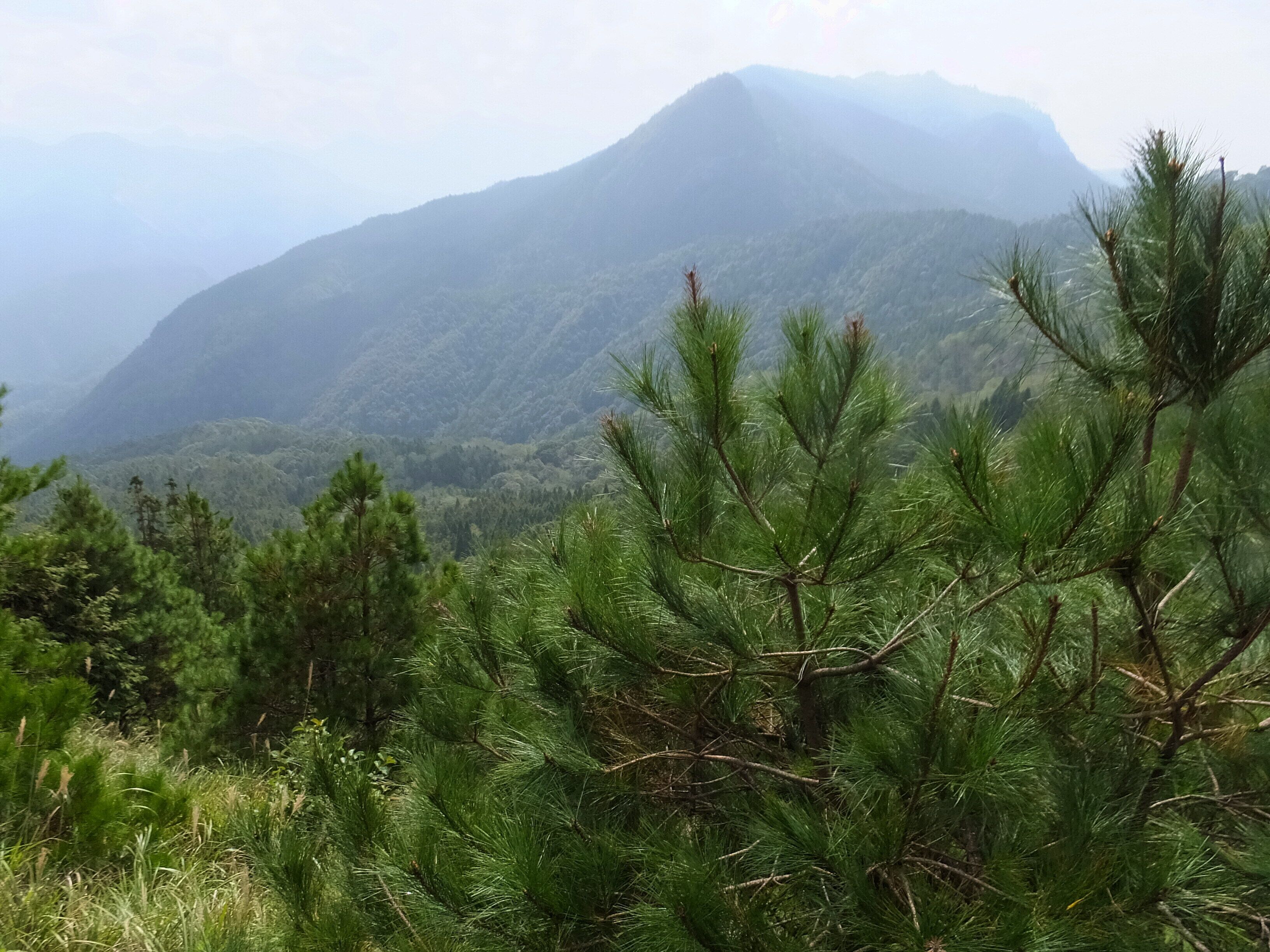 雲霧步道 Yunwu Trail