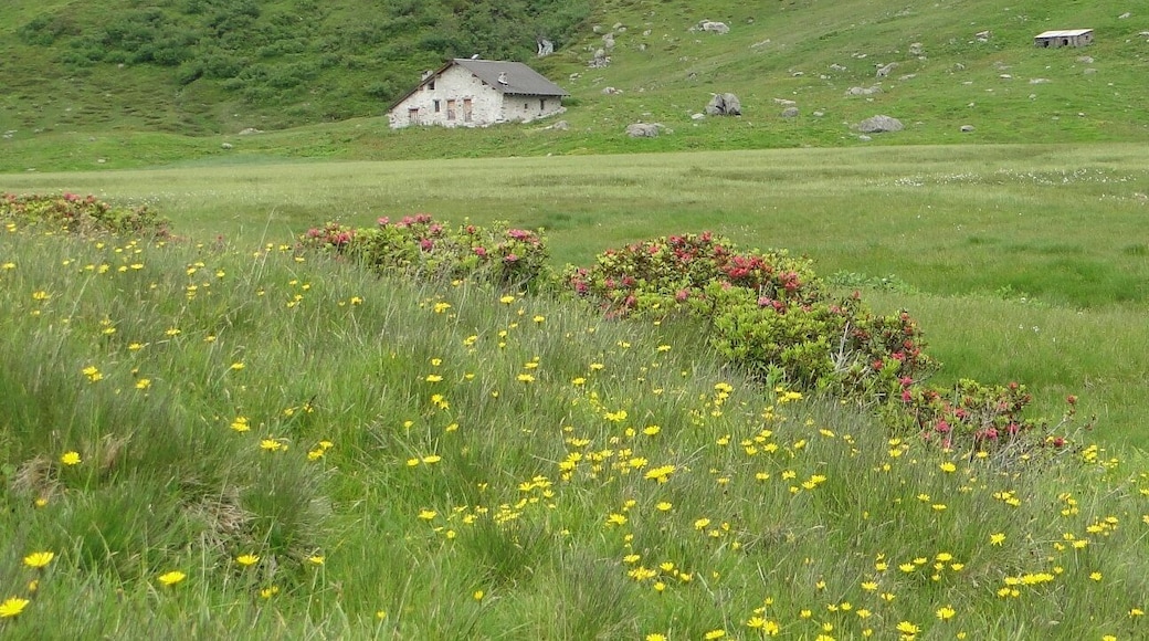 Baita alta di Cardeto, Val Grabiasca, Gandellino (BG)