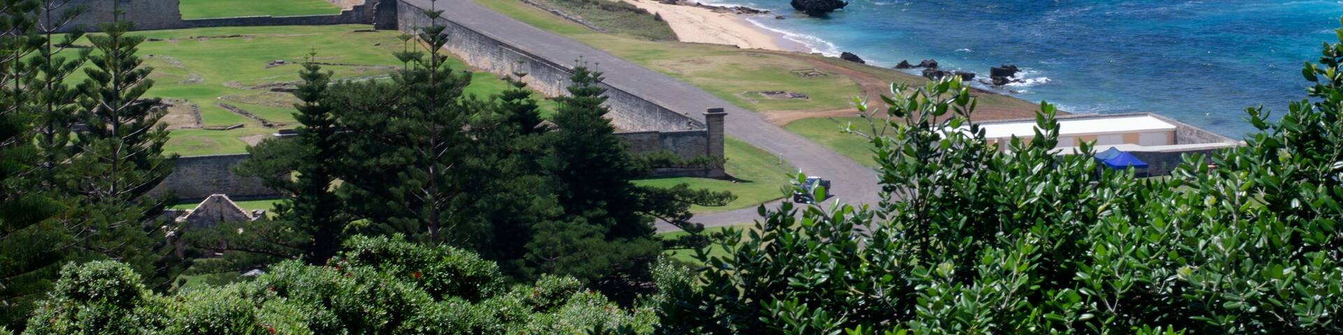 A coastal landscape with a sandy beach, rocky outcrops, dense pine forest, and a clear blue ocean.