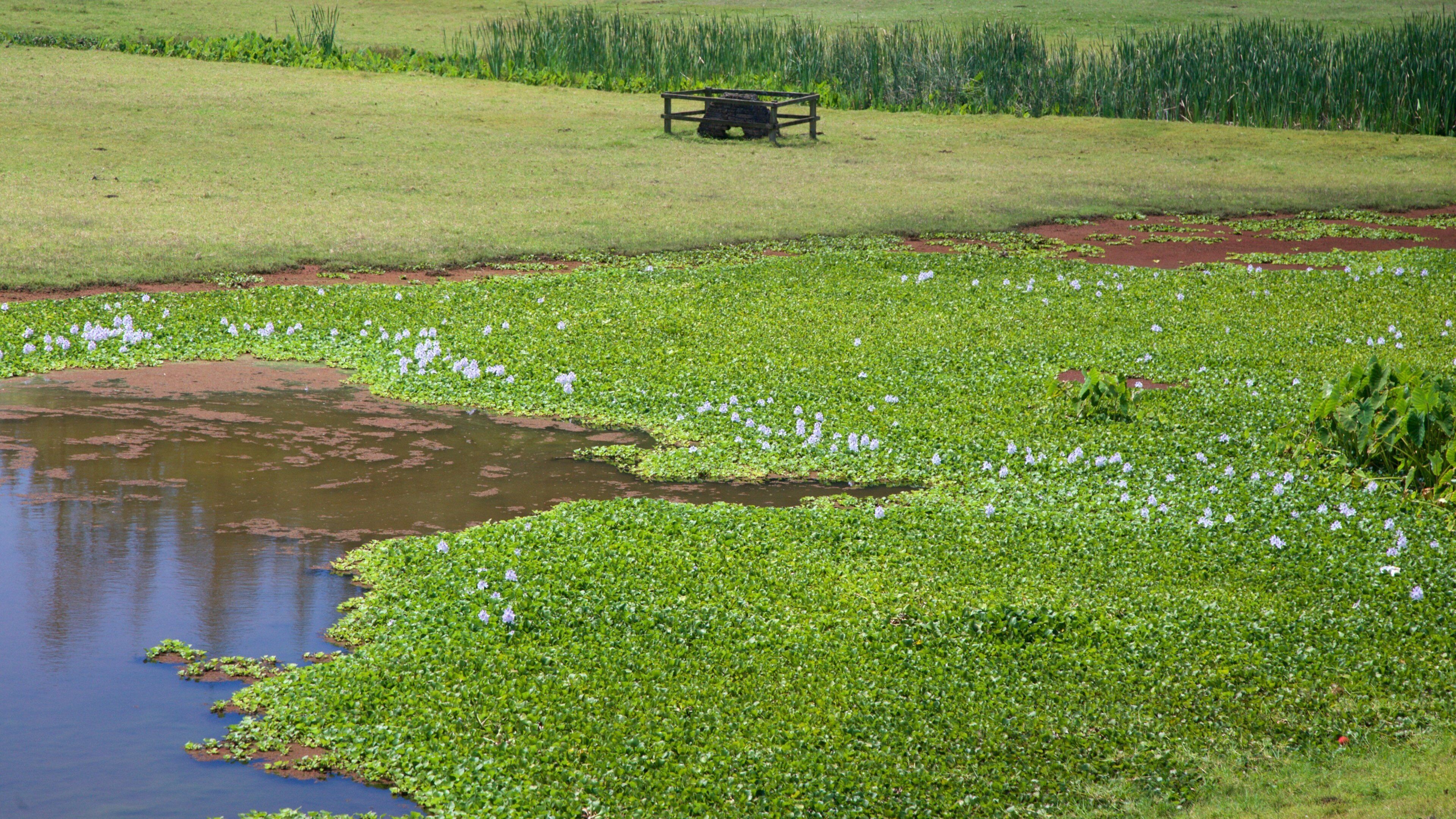 Kingston and Arthur\'s Vale Historic Area which includes tranquil scenes