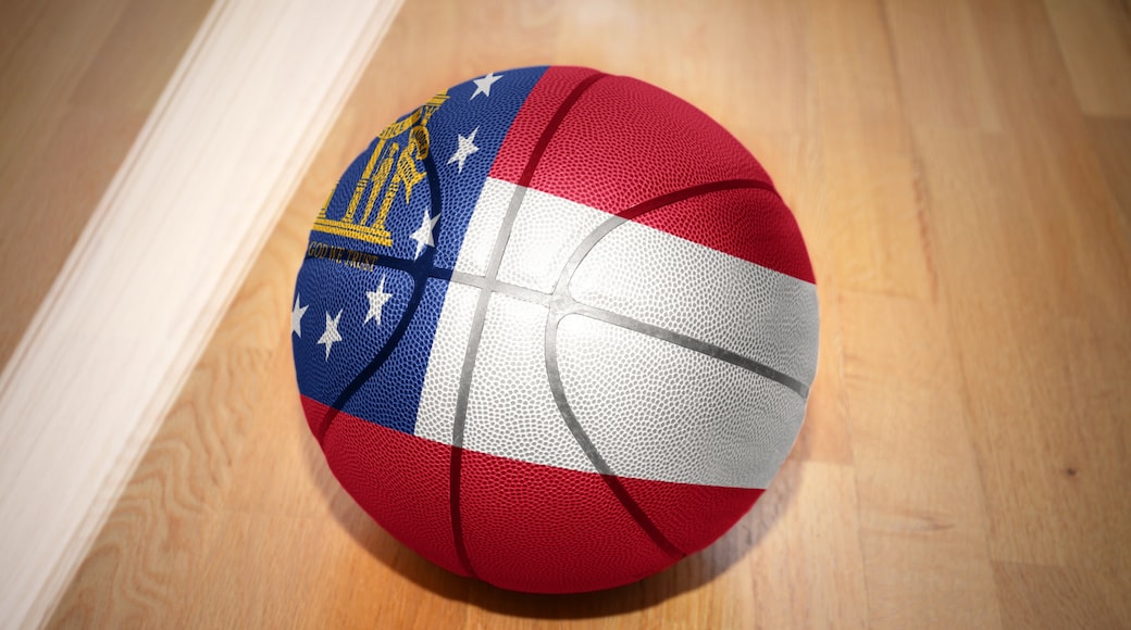 Arena Olahraga Georgia