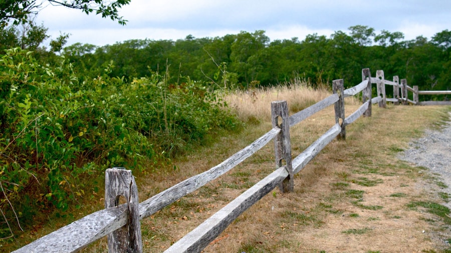 Centre d\'accueil des visiteurs de Salt Pond