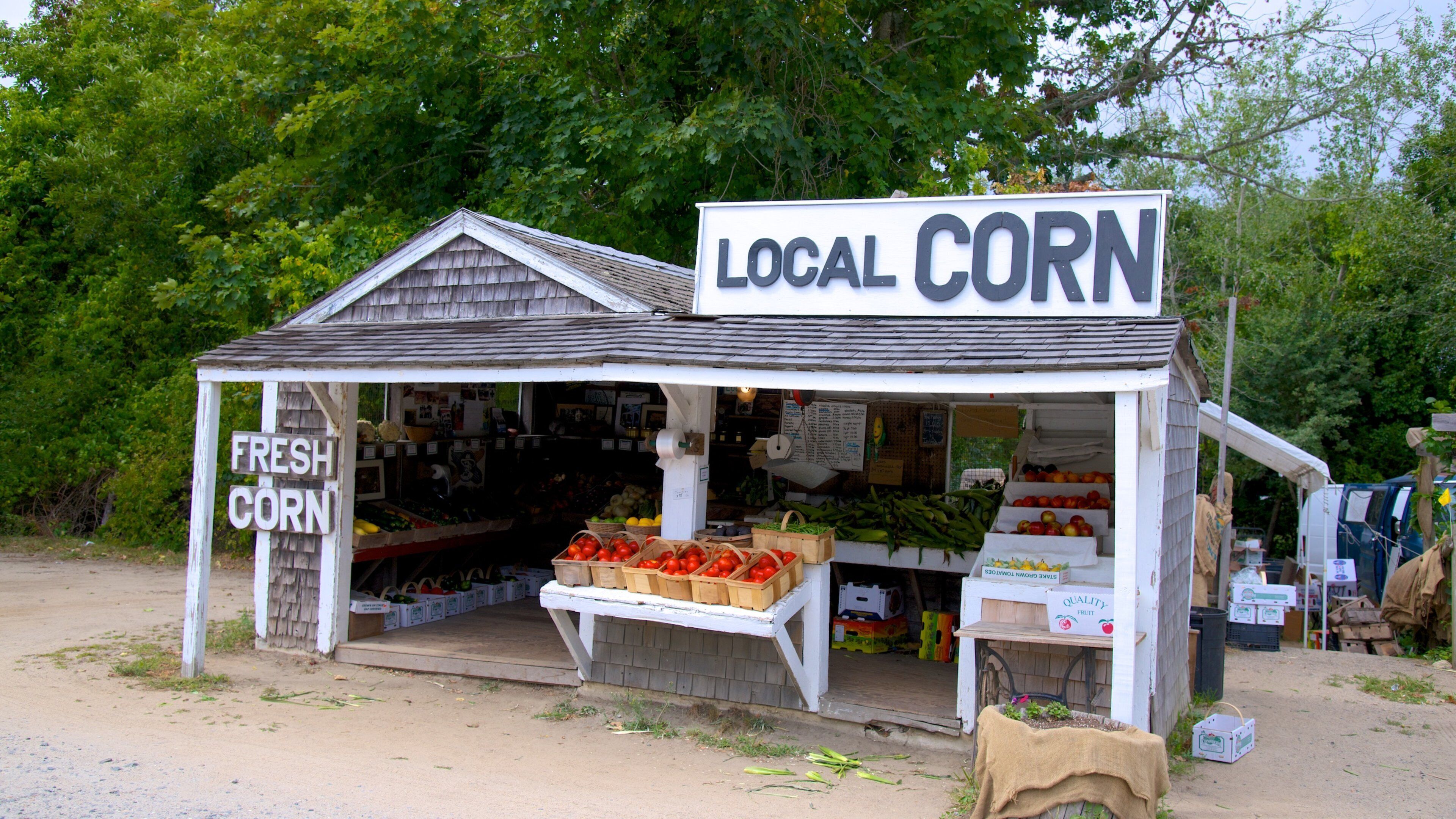 鹽池遊客中心 设有 指示牌 和 市場