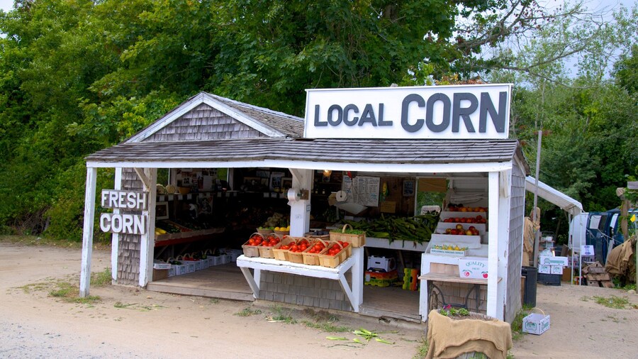 Salt Pond Visitor Center featuring signage and markets