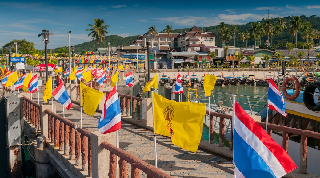 Muelle Tonsai