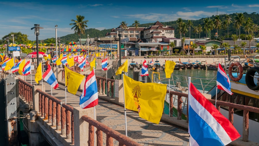 Muelle Tonsai