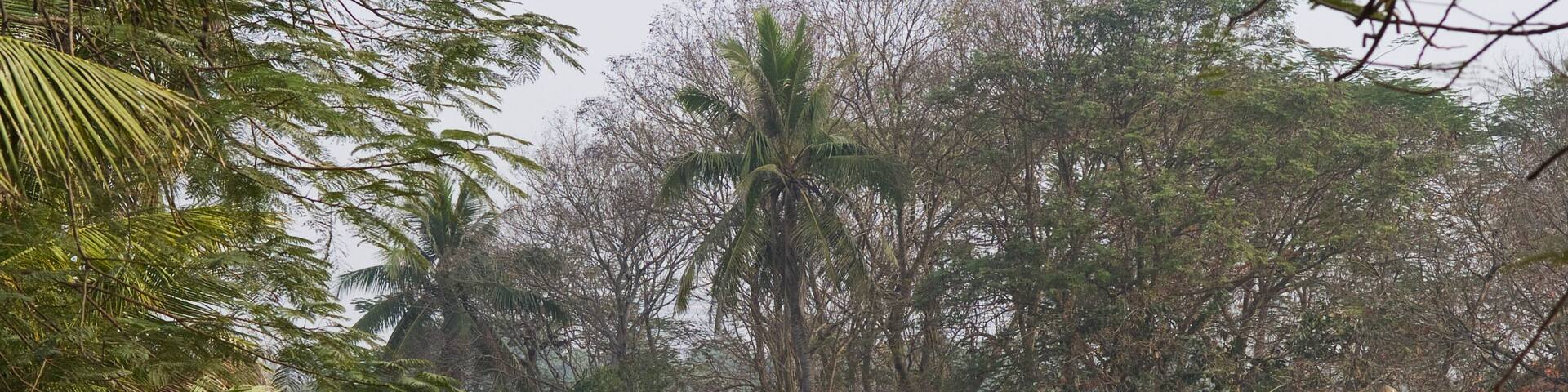 Bridge over the lake Ho Bay Mau in the Thong Nhat park in Hanoi, Vietnam