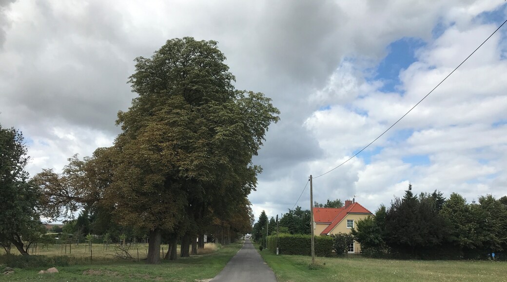 Gölsdorf, ein Ortsteil der Gemeinde Steinhöfel im Land Brandenburg