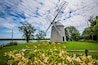 Jonathan Young Windmill