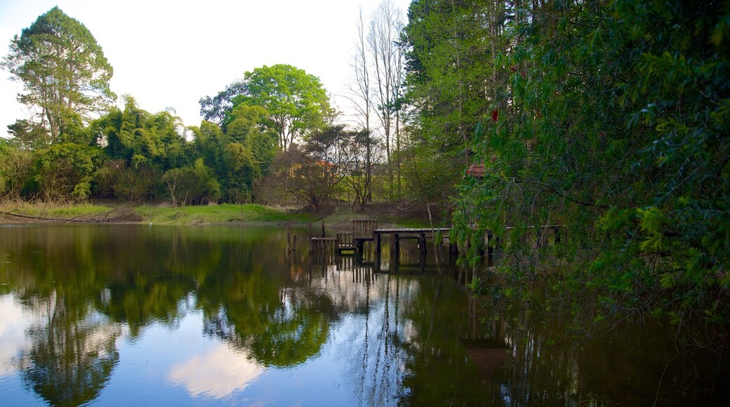 ラス ビクトリアス ナショナル パーク どの含み 湖あるいは泉 と 森林の風景