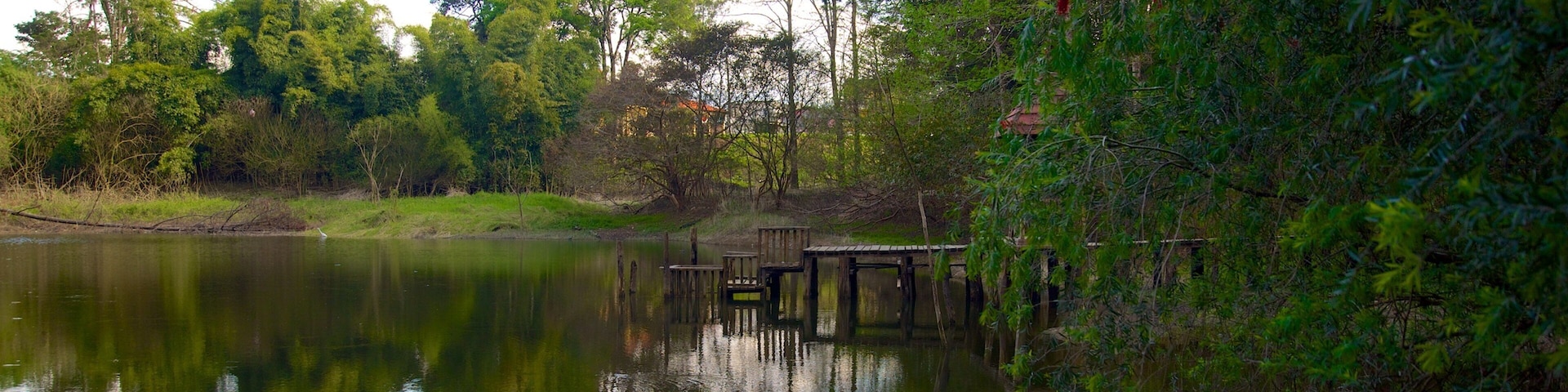 Las Victorias National Park featuring a lake or waterhole and forests