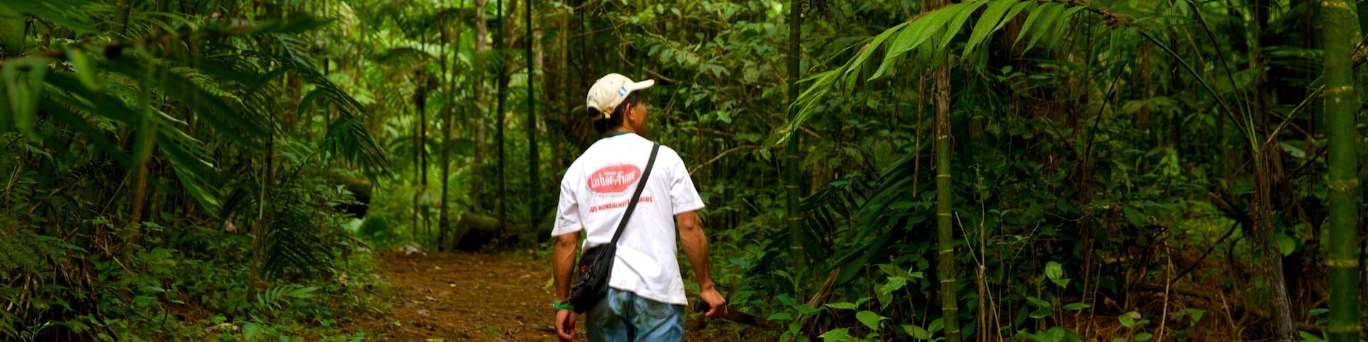 Las Victorias National Park showing rainforest as well as an individual male