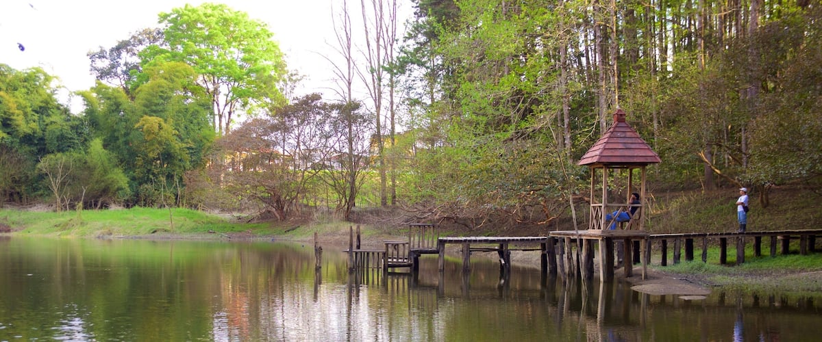 A wooden pier extending into a calm lake, surrounded by lush greenery and trees.