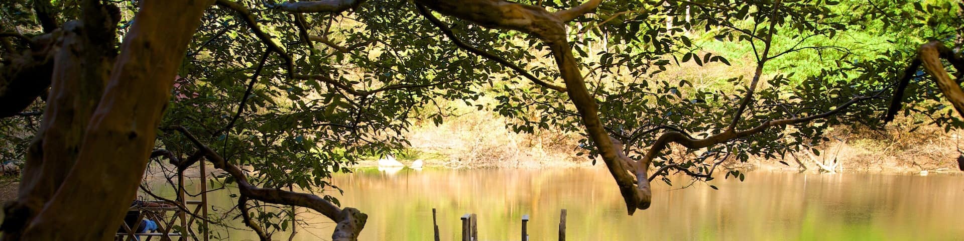 Las Victorias National Park showing a river or creek