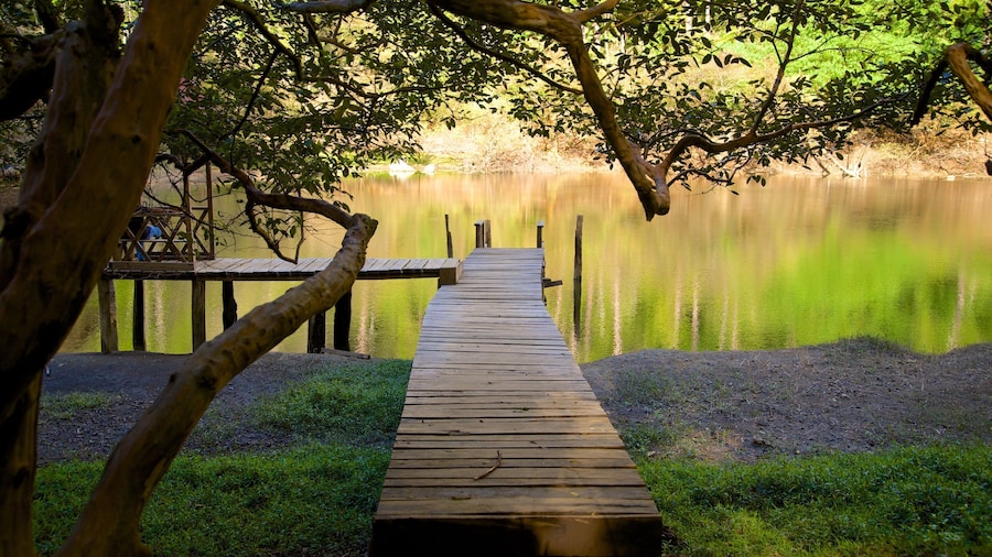 Las Victorias National Park showing a river or creek