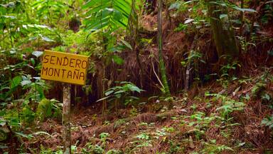 Las Victorias National Park showing signage and rainforest