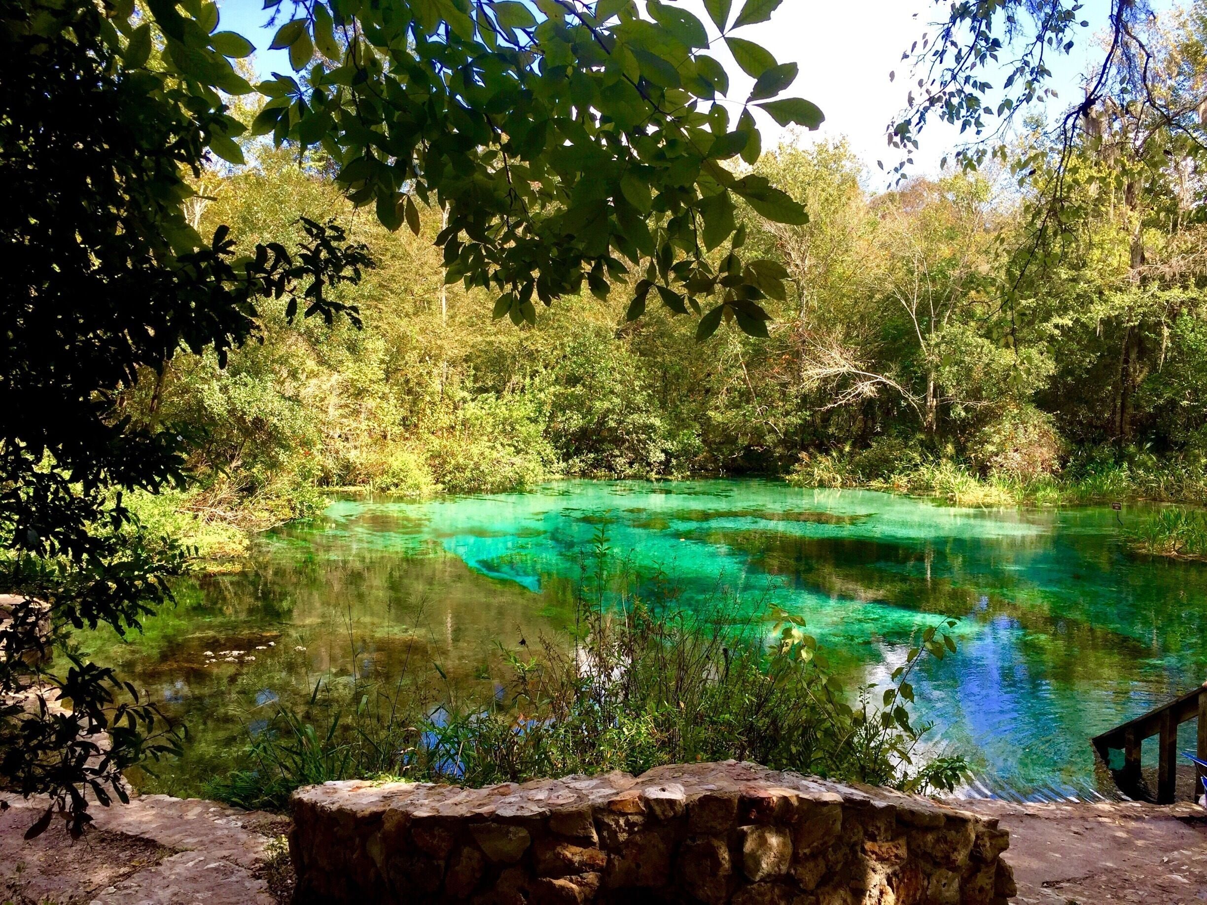 The Head Springs at Ichetucknee Springs State Park. The water is spectacular, my picture doesn't do it justice. Ichetucknee is now one of my favorite parks in Florida. Heads Springs is at the north entrance of the park. Another gem at the north entrance is Blue Hole Springs. 
