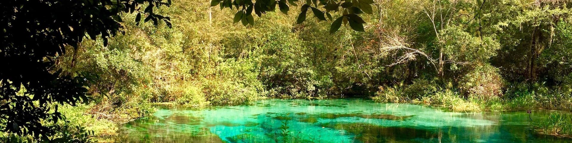 The Head Springs at Ichetucknee Springs State Park. The water is spectacular, my picture doesn't do it justice. Ichetucknee is now one of my favorite parks in Florida. Heads Springs is at the north entrance of the park. Another gem at the north entrance is Blue Hole Springs.