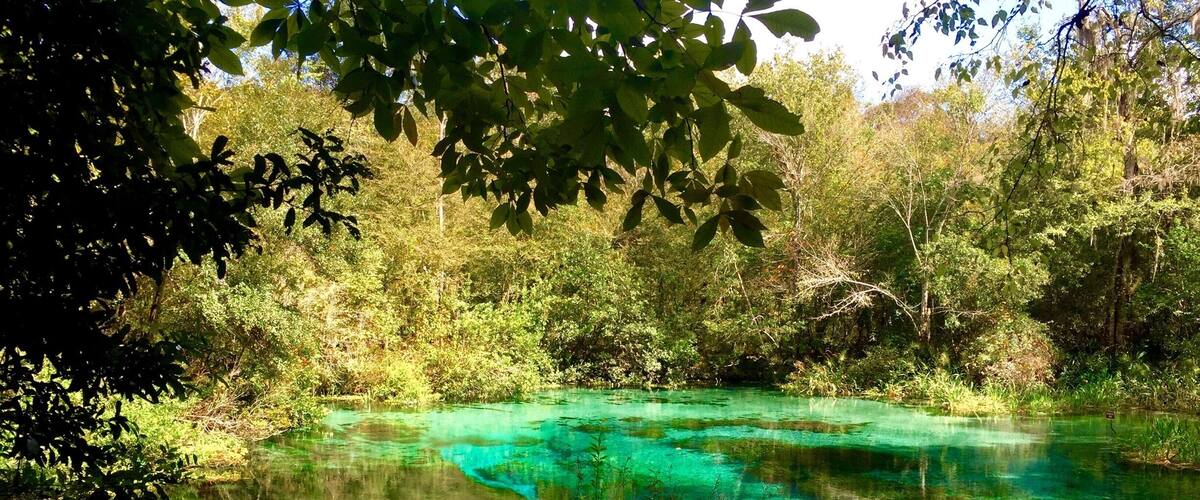The Head Springs at Ichetucknee Springs State Park. The water is spectacular, my picture doesn't do it justice. Ichetucknee is now one of my favorite parks in Florida. Heads Springs is at the north entrance of the park. Another gem at the north entrance is Blue Hole Springs.