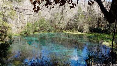 An amazing state Park 2 hours drive from Orlando. Swimming and snorkeling in this crystal clear water is allowed and i really recommend to do it! 🐟🐢