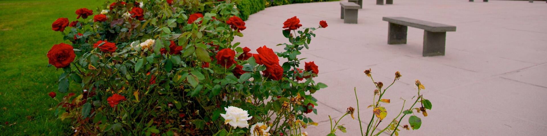 John F. Kennedy Memorial das einen Blumen