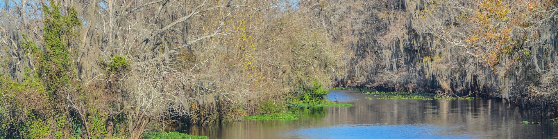 The view of Manatee Springs and Suwannee River. Manatee Springs State Park is in Chiefland, Florida
