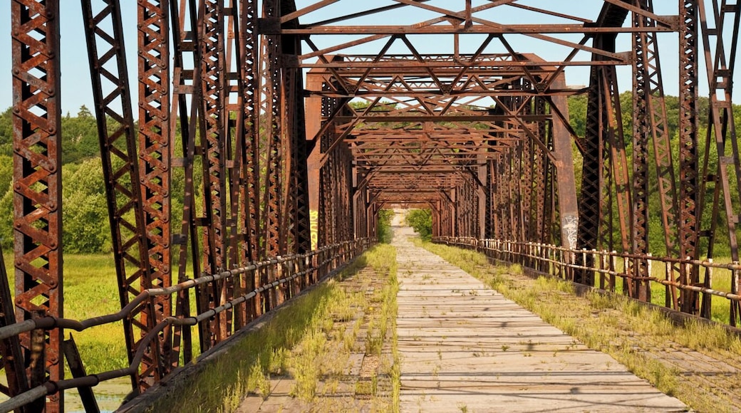 Old Cedar Avenue Bridge