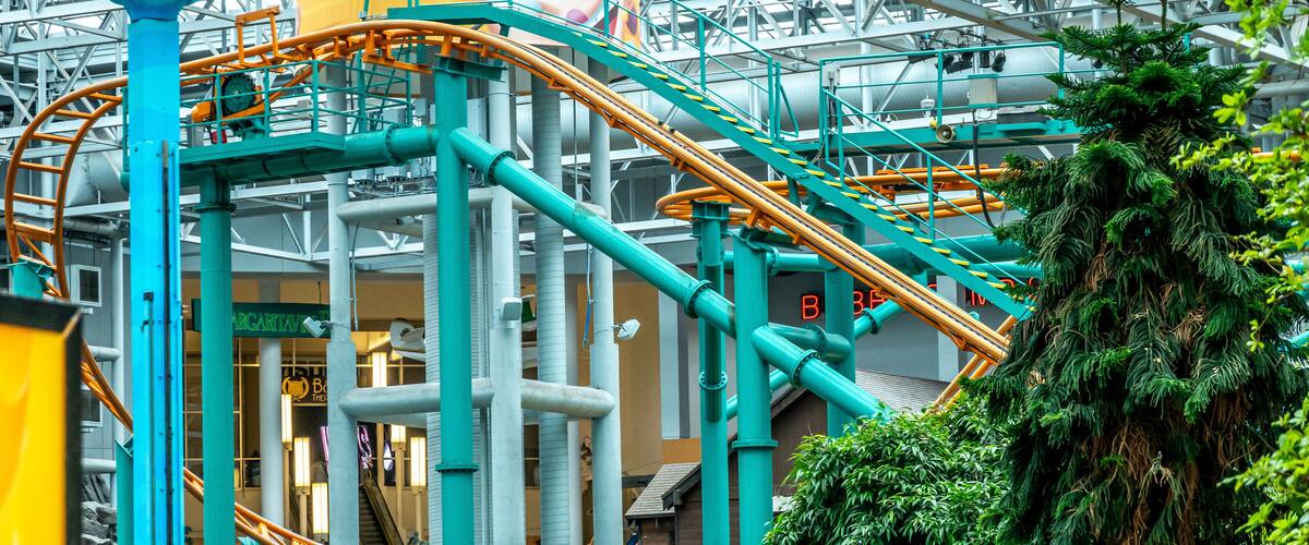 A roller coaster with a large mascot figure, a green tree, and industrial structures.