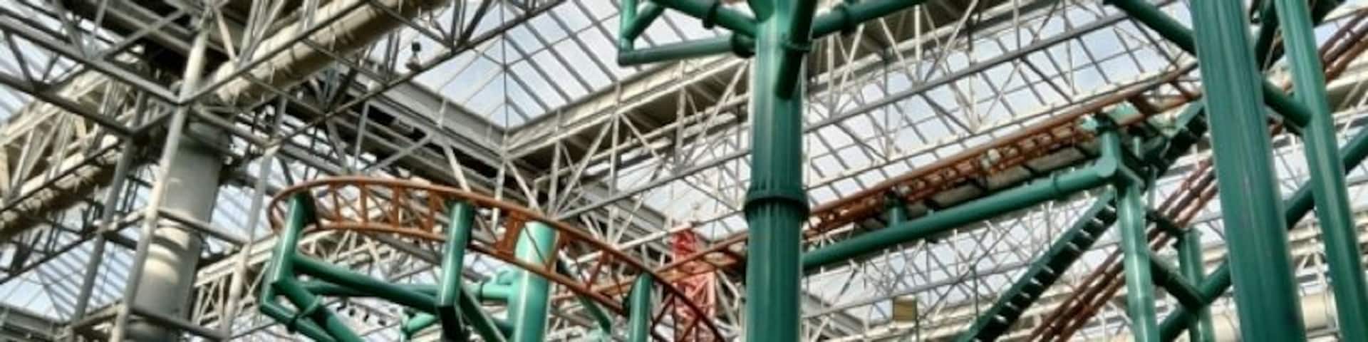 The twisted maze of roller coaster track inside the massive Mall Of America unintentionally symbolizes the crazy American "buy an spend" zeitgeist.