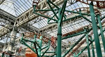 The twisted maze of roller coaster track inside the massive Mall Of America unintentionally symbolizes the crazy American "buy an spend" zeitgeist.