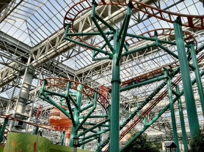 The twisted maze of roller coaster track inside the massive Mall Of America unintentionally symbolizes the crazy American "buy an spend" zeitgeist.