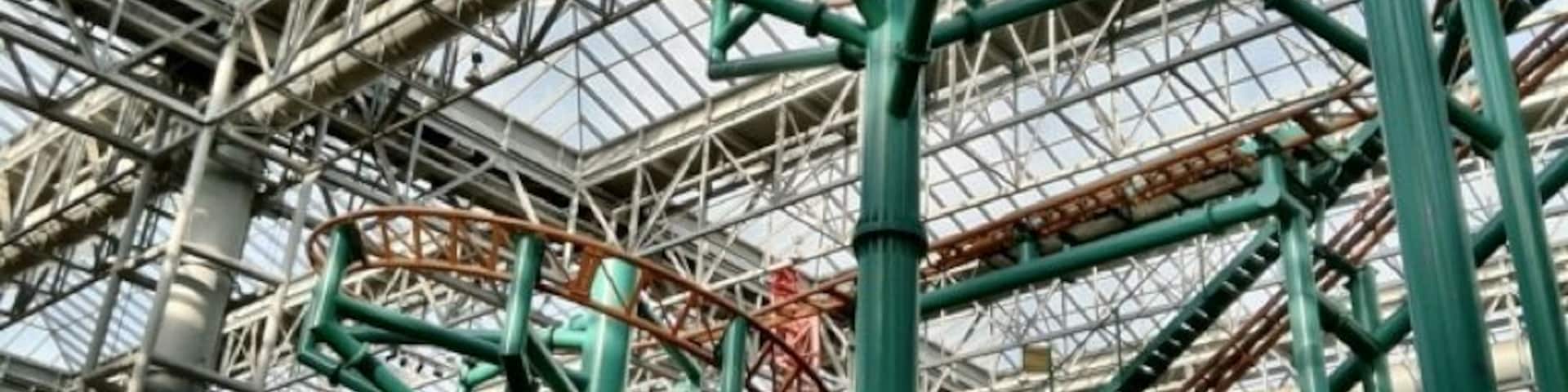 The twisted maze of roller coaster track inside the massive Mall Of America unintentionally symbolizes the crazy American "buy an spend" zeitgeist.