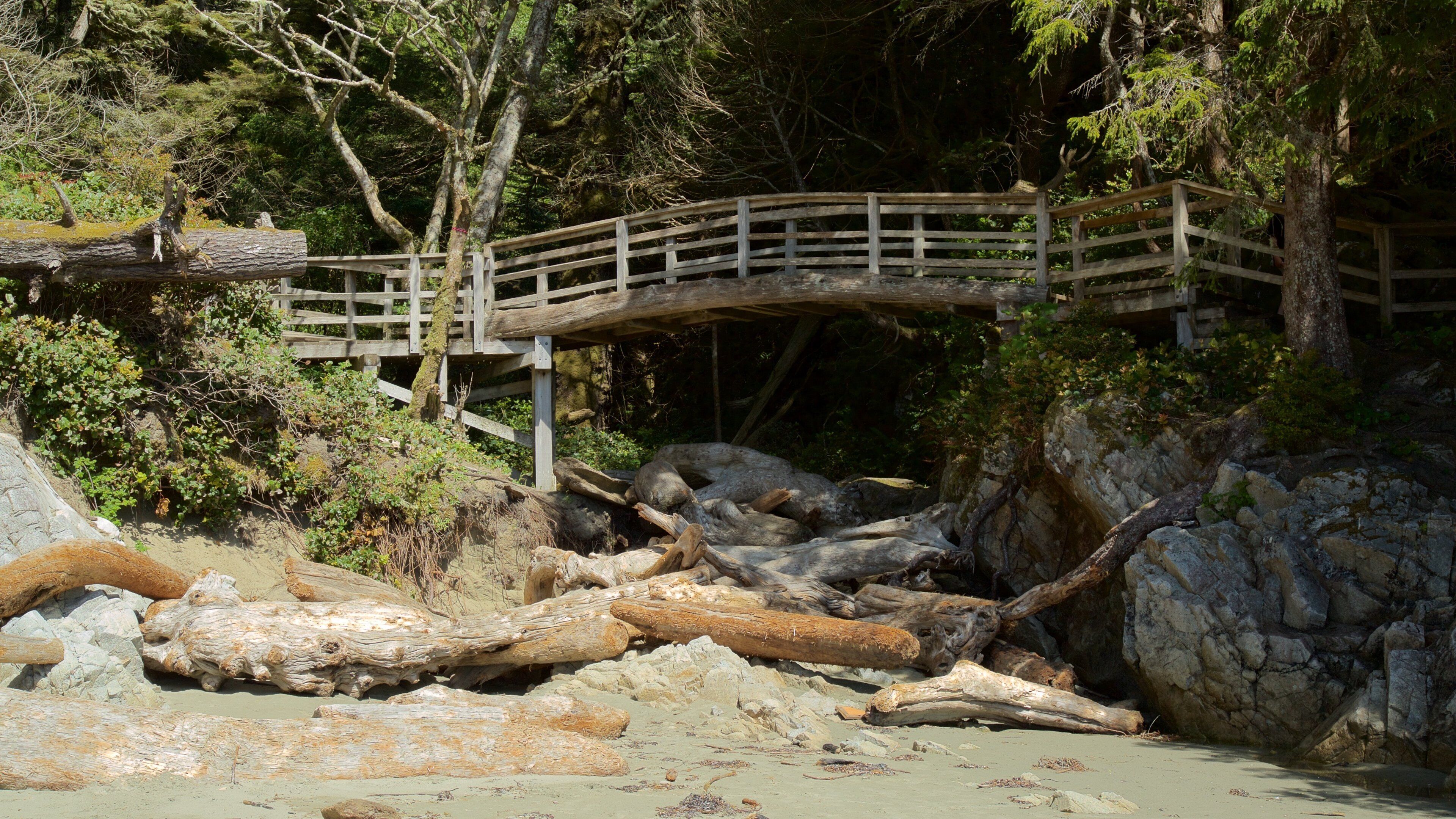 톤퀸 공원 이 포함 다리 과 해변