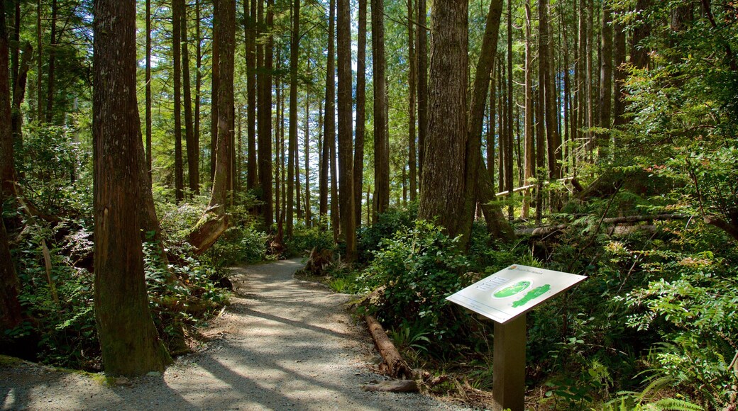 Tonquin Park featuring forest scenes and signage
