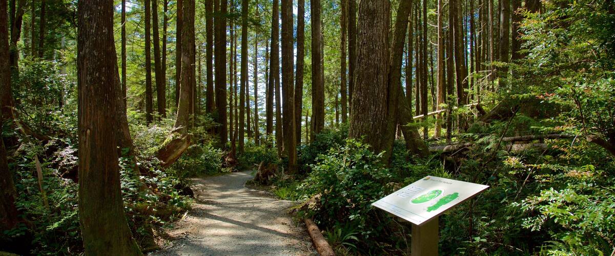 Tonquin Park inclusief bewegwijzering en bos