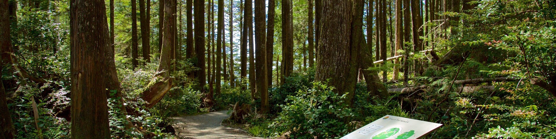 Tonquin Park showing signage and forest scenes