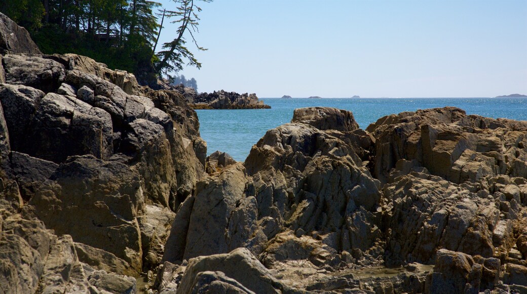 Tonquin Park ofreciendo costa escarpada y vistas generales de la costa