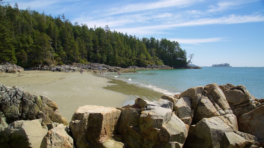 Tonquin Park qui includes cÎte escarpée, vues littorales et plage de sable