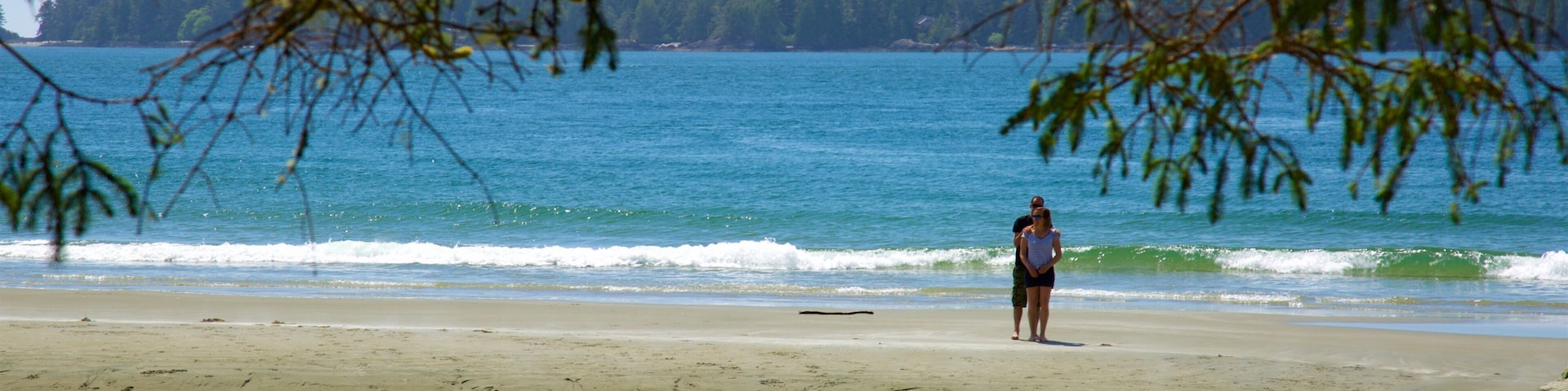 Tonquin Park which includes a beach, waves and general coastal views