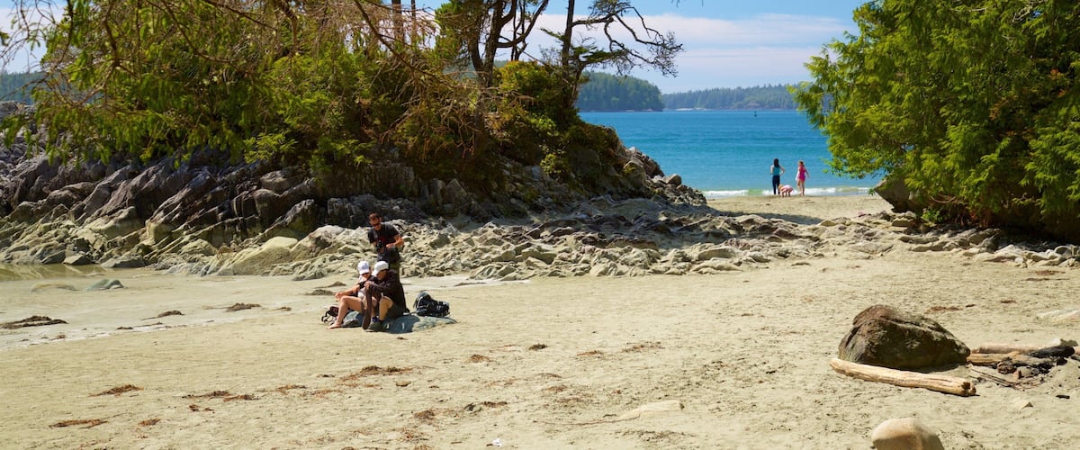 Tonquin Park which includes general coastal views and a sandy beach as well as a small group of people