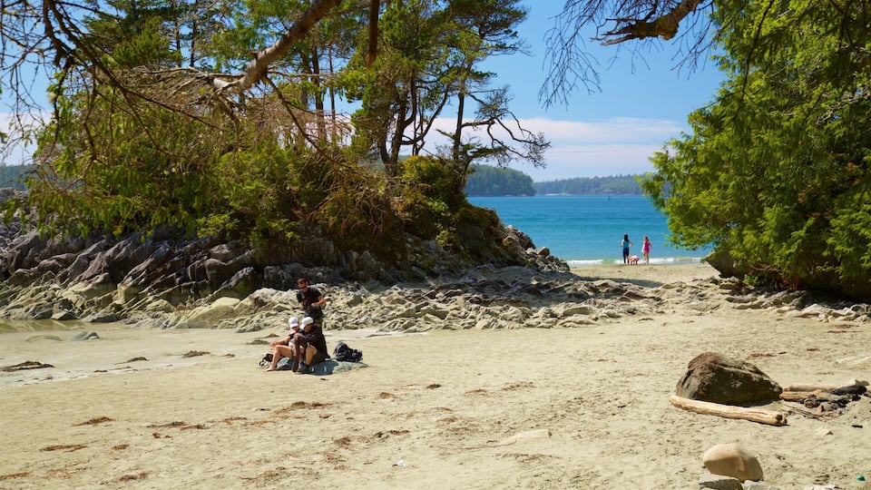 Tonquin Park which includes general coastal views and a sandy beach as well as a small group of people