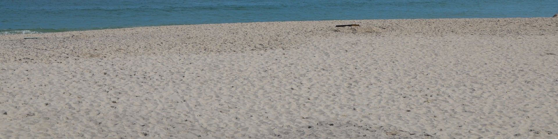 Beach at Assateague Island National Seashore in Maryland on a sunny spring day. Useful for backgrounds, negative space