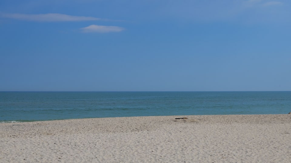 Beach at Assateague Island National Seashore in Maryland on a sunny spring day. Useful for backgrounds, negative space