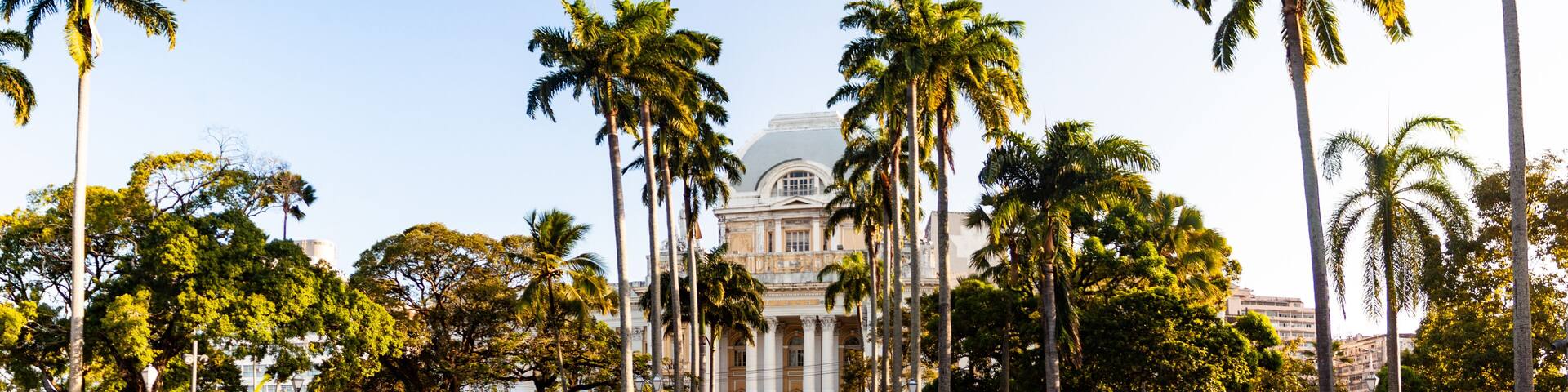 A fountain surrounded by palm trees and a classical building with columns.