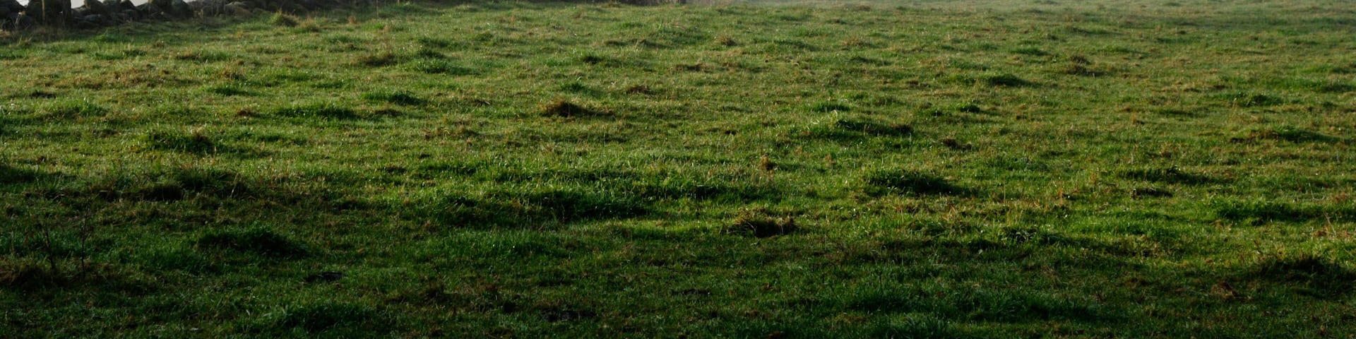 Morning haze. Image shot 2007. Exact date unknown.