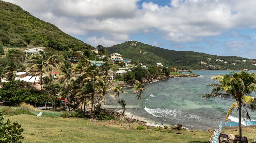 Playa de Friendship Bay